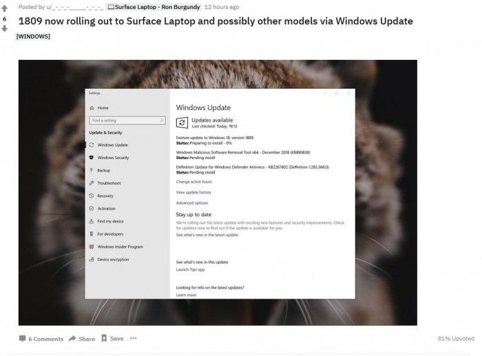 微軟開(kāi)始向更多用戶推送Windows 10十月更新
