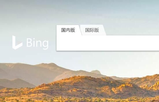 必應(yīng)搜索被曝包含兒童色情內(nèi)容，微軟：將努力修復(fù)